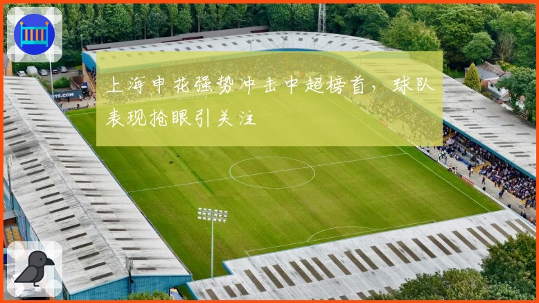 上海申花强势冲击中超榜首，球队表现抢眼引关注