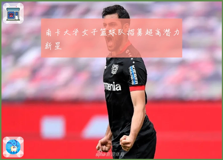 南卡大学女子篮球队招募超高潜力新星